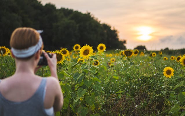 Wildlife Photography: A Form of Ecotherapy to Relieve Stress