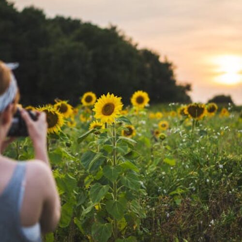 Wildlife Photography: A Form of Ecotherapy to Relieve Stress